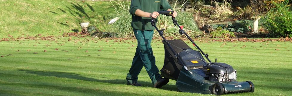 Garden and Estate Maintenance - regular lawn care, mowing, scarifying, weeding and feeding