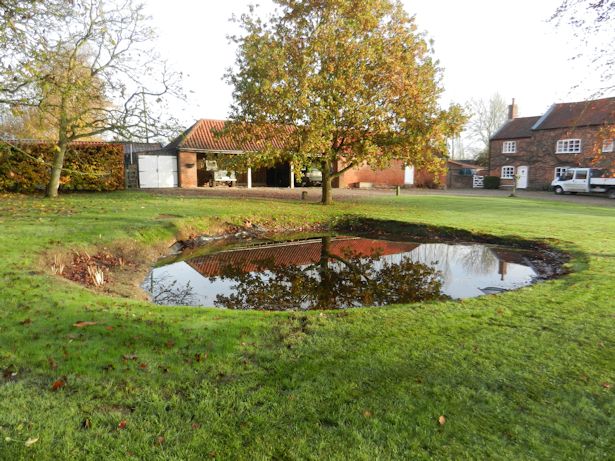 Case Study - Pond Clearance and Reinstatement of new pond with liner