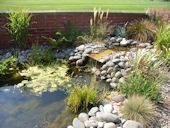 Garden Design - Pebble Lined Pond and Water Feature