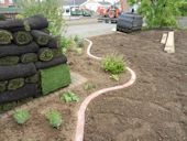 Garden Design - Flower Borders Planted and Preparing for the Turf