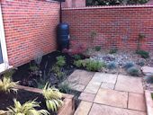 Norwich Garden Design - Range of new planting with wall climbing plants