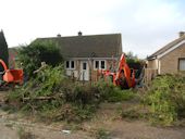 Leylandii Hedge Removal - Stripping all the trees