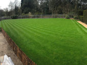 Commerical Turfing - Completed Job after the first cut