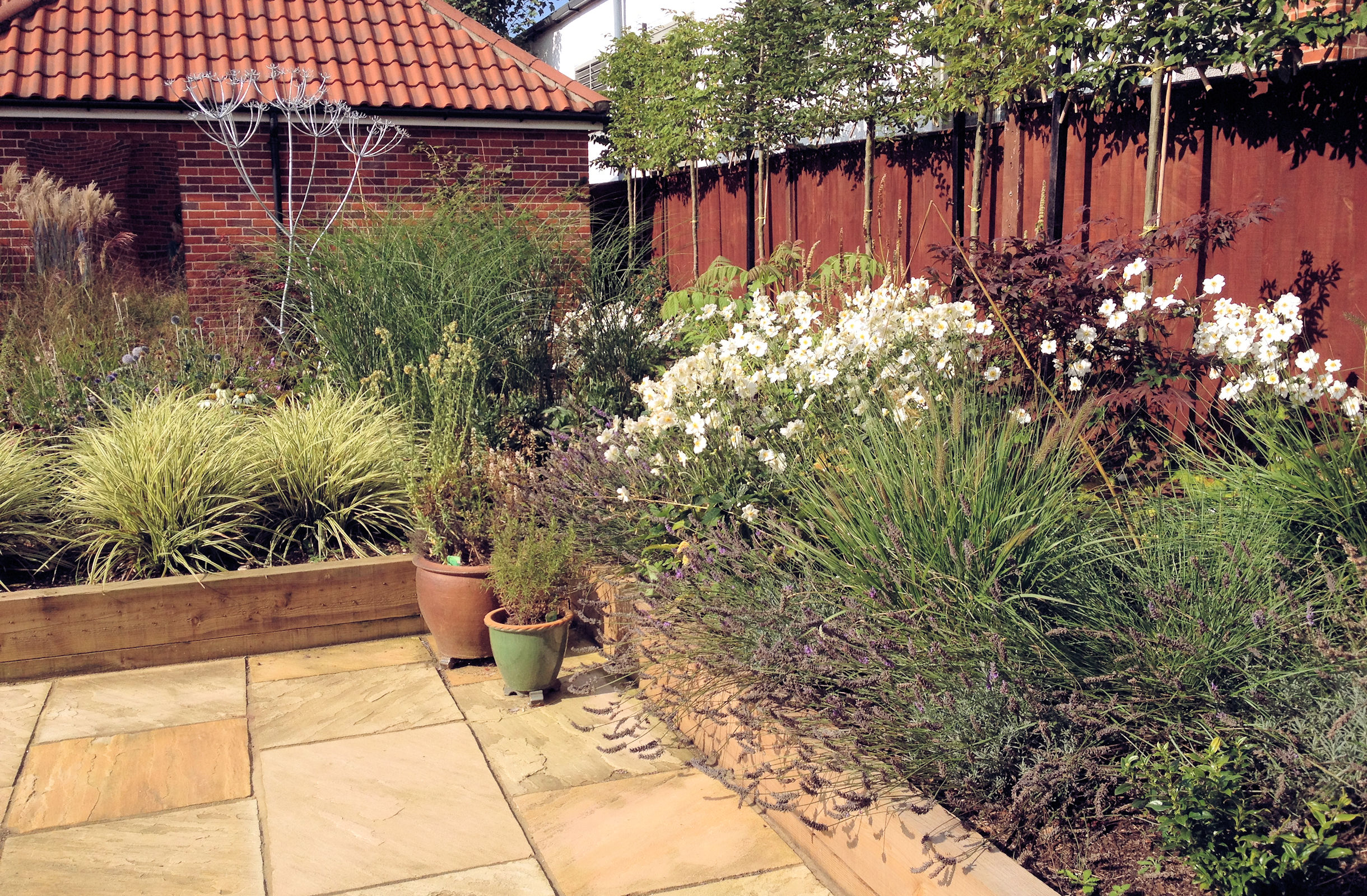 Planted Borders with Pleached Trees Background Image