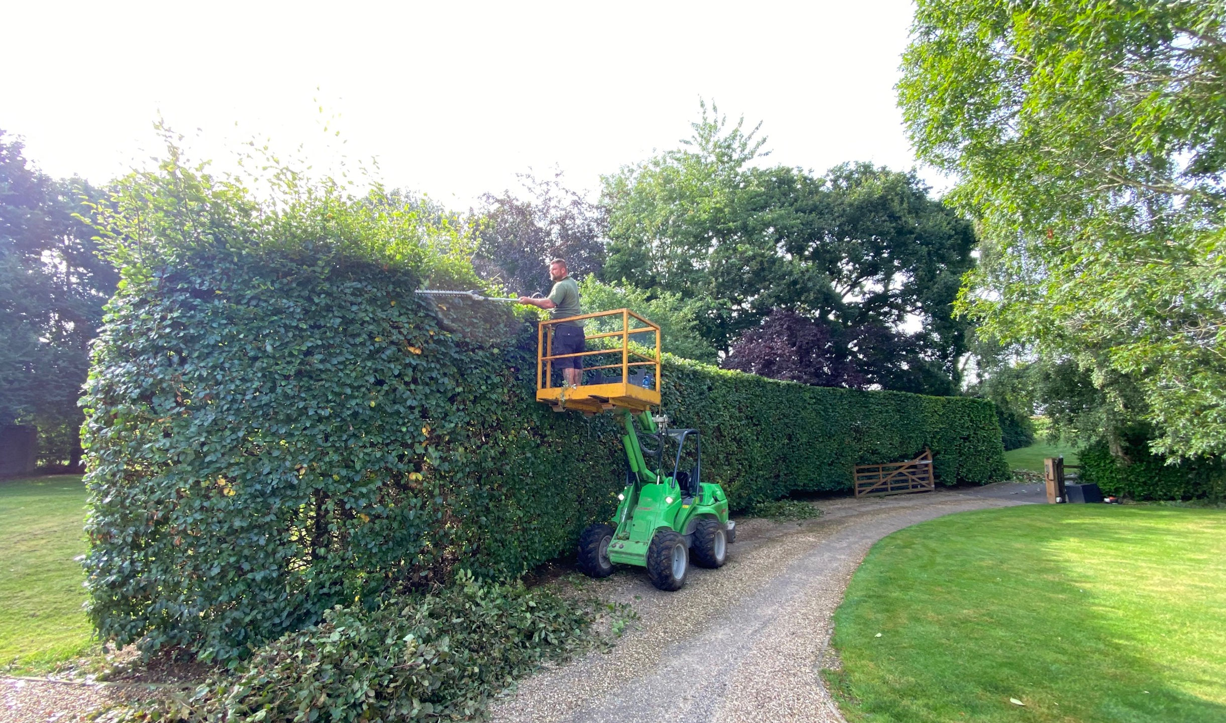 Hedge Cutting | MN Horticulture