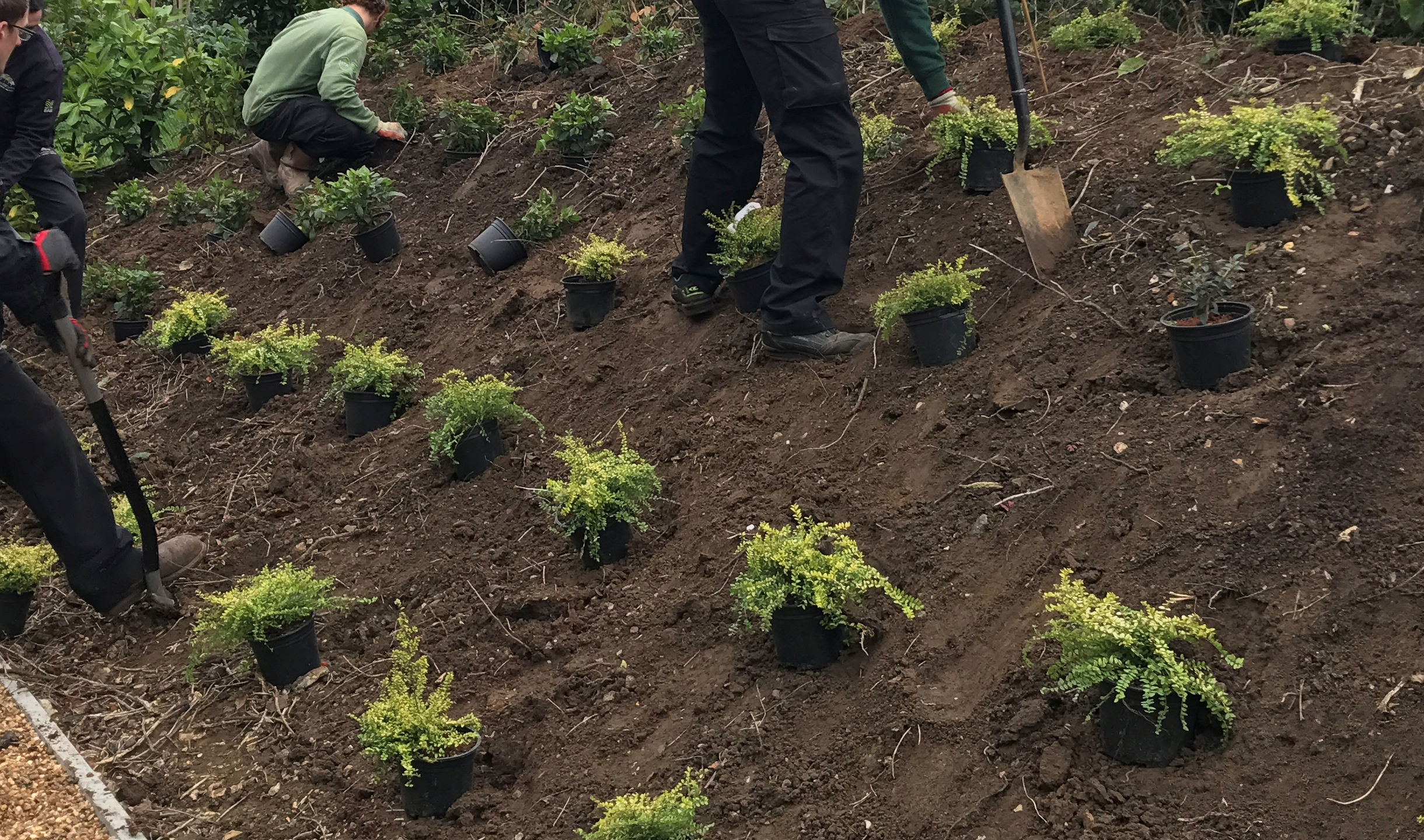 Plant Sourcing