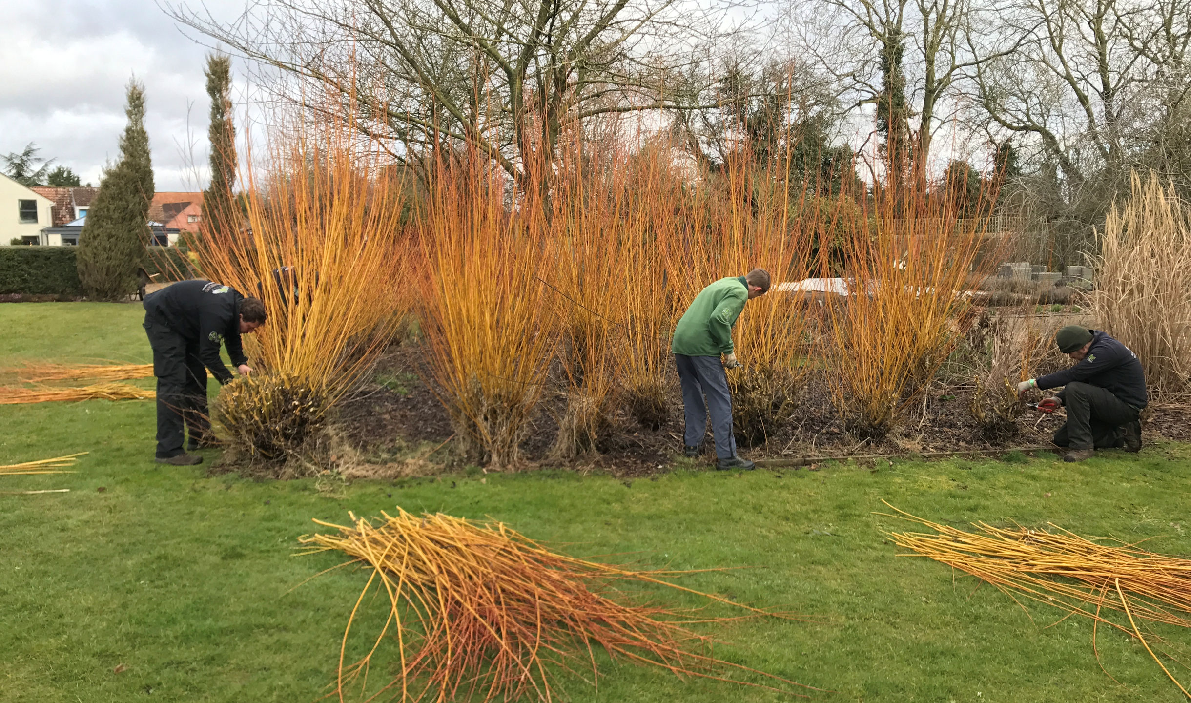 Spring/Autumn Pruning