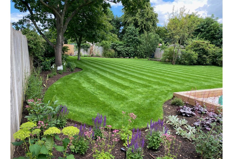 New Family Garden